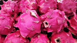 Lebendige Drachenfrucht Fülle