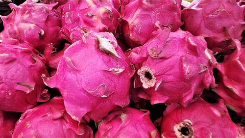 Abondance de fruits du dragon