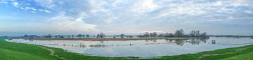 Hoog water in de uiterwaarden van de IJssel van Sjoerd van der Wal