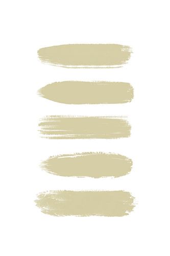 Farbstreifen | Wild Wonder