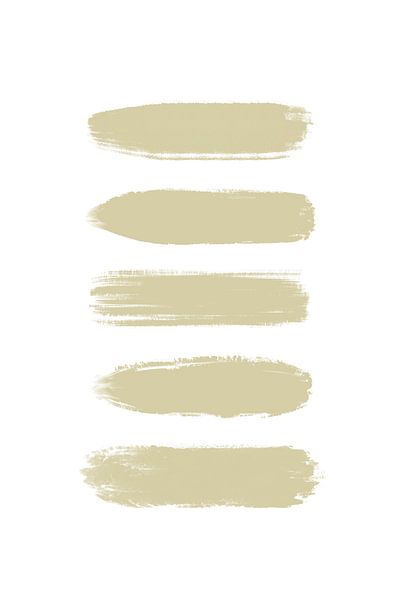 Paint Strips | Wild Wonder by Studio Malabar