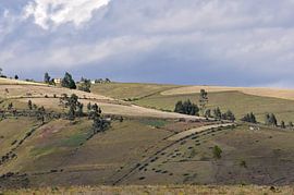 Grüne Hügel in Ecuador von Anouschka Hendriks