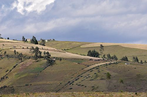 Grüne Hügel in Ecuador