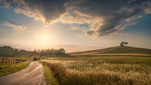 Landschap bij zonsondergang in de Maremma, Weg en glooiende heuvels in Bibbona