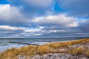 Buhnen an der Küste der Ostsee auf dem Fischland-Darß