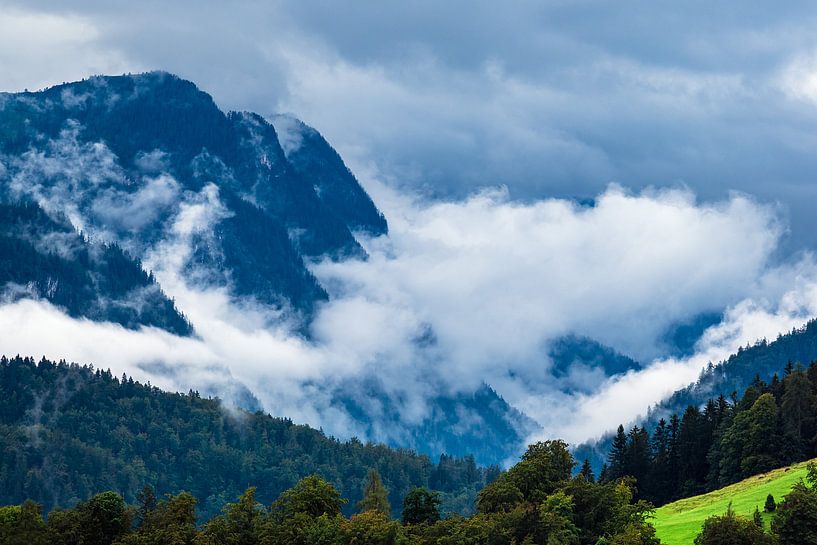 Landschaft mit Bergen und Bäumen im Berchtesgadener Land von Rico Ködder