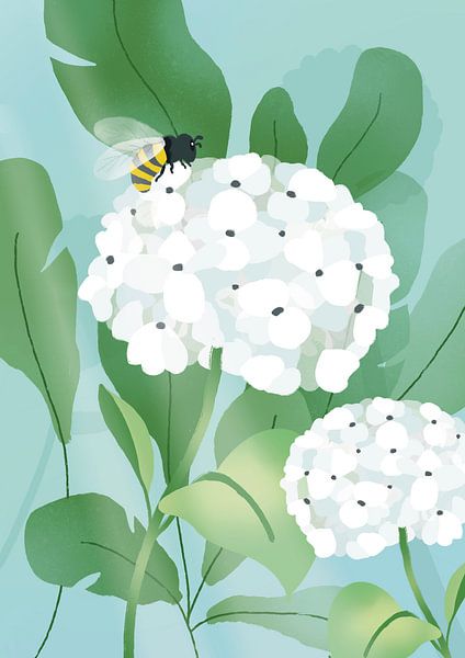 Witte Hortensia van Ilse Thijs
