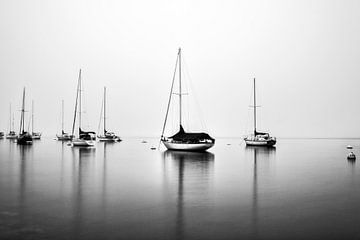 Morgenglanz Monochrom von Joseph S Giacalone Photography