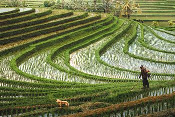 Het Ritme van het Land – Groene Gelaagdheid
