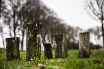 Fjord Rodenberg inde Klundert van Gert Jan Geerts