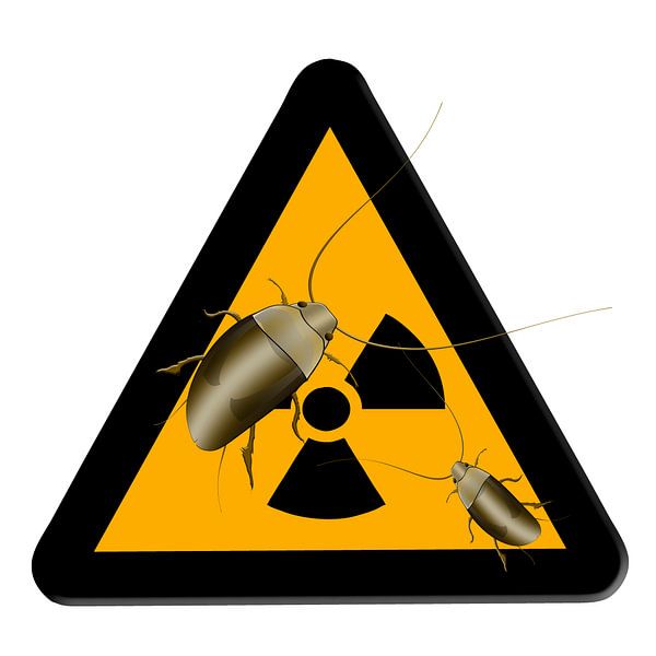 Radioaktive Blattodea von Grüntyers .