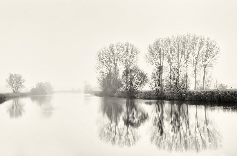 Paysage hivernal brumeux avec reflet. par Ellen Driesse