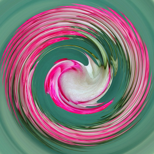 Un tourbillon rose dans un vert serein. sur Jose Lok