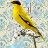 Oiseau jaune sur fond bleu papier peint vintage sur Postergirls
