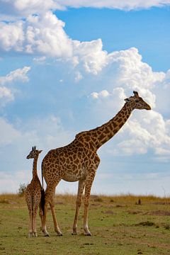 Giraffe met kind van Peter Michel
