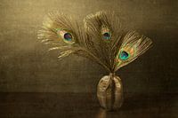 Still life. Peacock feather. Gold and Bronze. Bohemian.