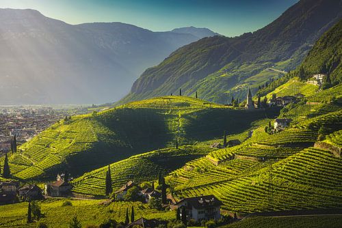 Uitzicht op wijngaarden in Santa Maddalena, Bozen. Zuid-Tirol