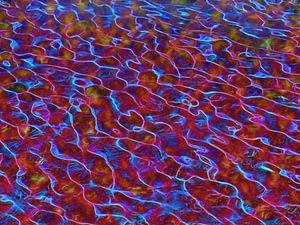 Wasserwellen (Bunte Wasserstruktur) Farbe 2