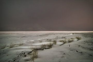 Adventdalen en Adventfjorden in de poolnacht van Kai Müller