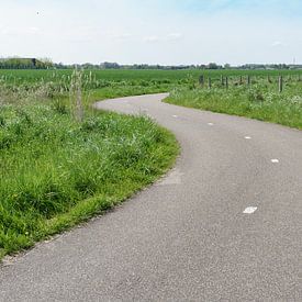Winding cycle path through the countryside by Mister Moret