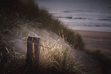 Dutch dunes van Sandra Hazes