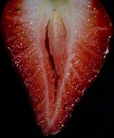 Yummy