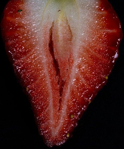 Yummy