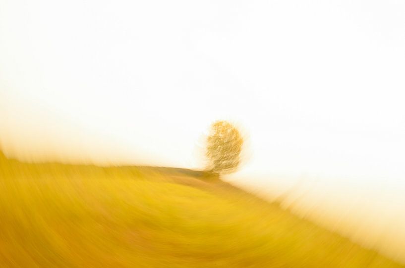 Fotografie,Abstract,Abstrait, von Kitty Stevens