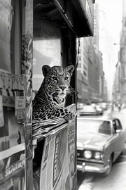 Leopard Urbane Dschungel von Preet Lambon