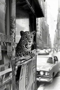Léopard Urban Jungle