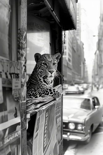 Luipaard Urban Jungle