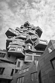 The Valley Amsterdam