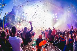 Party time von Remy de Klein