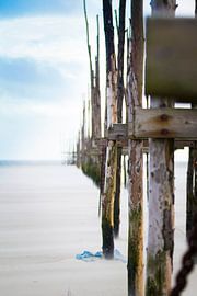 Palen op het strand met veel wind van Shoots by Laura