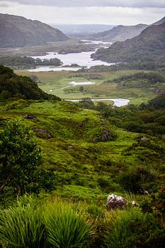 ladies view Ierland