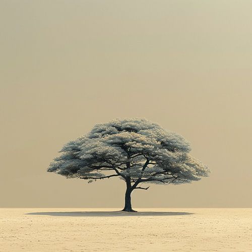 Eenzaamheid en Weerstand