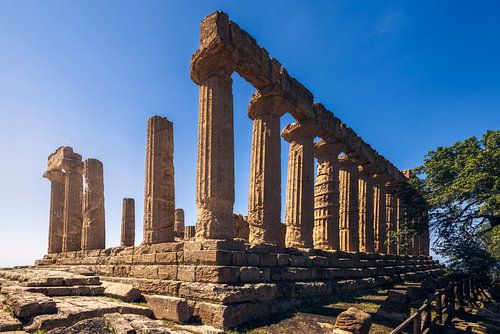 Le majestueux temple de Junon, qui se dresse fièrement dans la Vallée des Temples,
