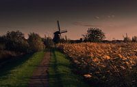 foto van molen van kinderdijk