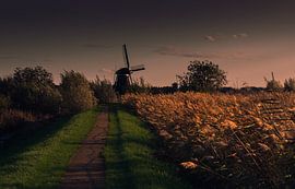 Foto der Mühle Kinderdijk von gert stasse