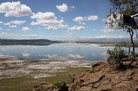 Lake in Kenia von Willy Sybesma Miniaturansicht