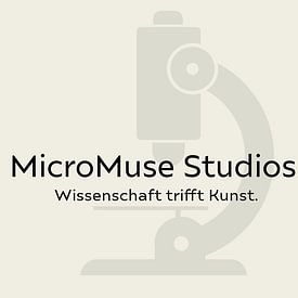 MicroMuse Studios - Nina Gruber photo de profil