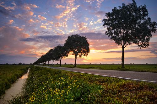Landelijke Zonsondergang