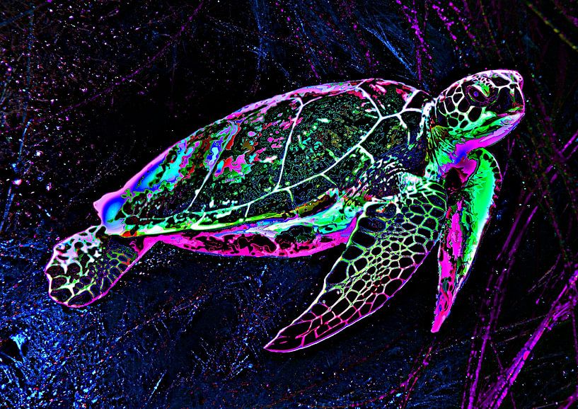 The magic sea turtle by DJF by Dean Jayson Freeman Art | Level Up your Home