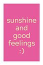 Sunshine & Good Feelings van Walljar thumbnail