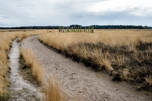 Natuurgebied de Regte Heide