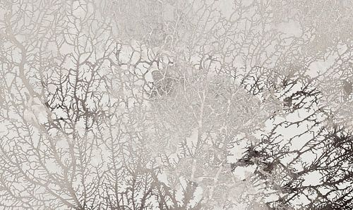 Scandinavisch Bos Abstract