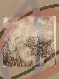 Warm earthy tones abstract botanical art with organic shapes by Dina Dankers