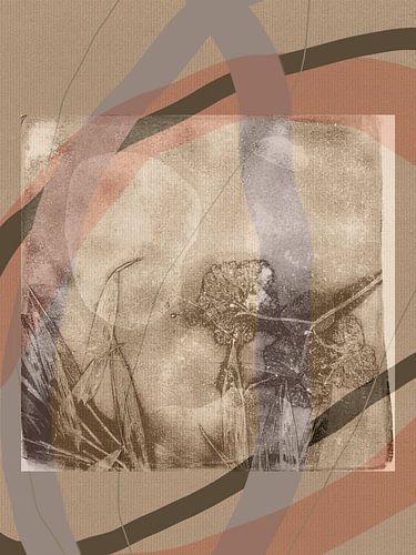 Warm earthy tones abstract botanical art with organic shapes by Dina Dankers