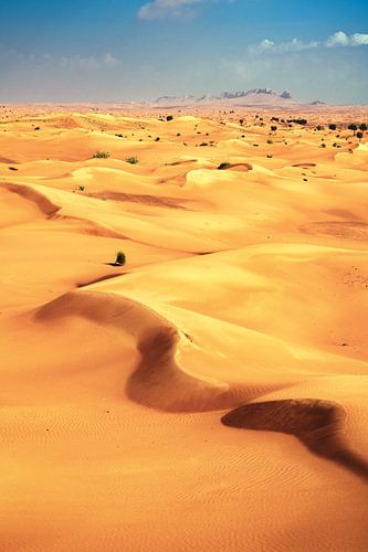 Dubai desert with sand dunes by Jean Claude Castor