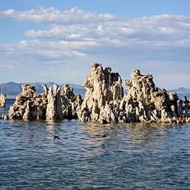mono lake - III by Meleah Fotografie